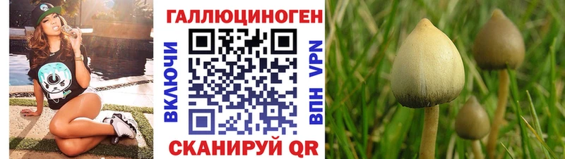 Галлюциногенные грибы Psilocybine cubensis  Тайга 