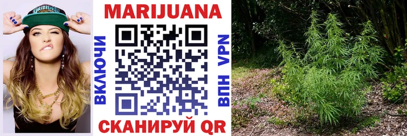 Конопля марихуана блэк спрут зеркало Тайга наркота